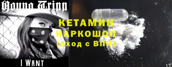 мдпв Инсар