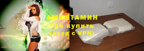 мдпв Инсар