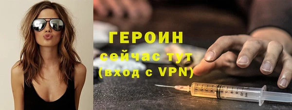 мдпв Инсар