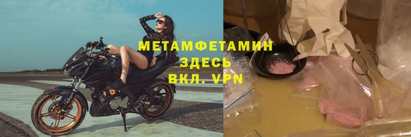 мдпв Инсар
