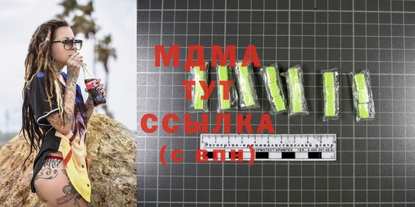 мдпв Инсар