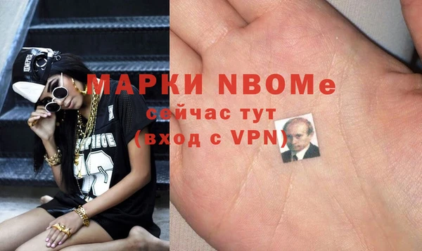 мдпв Инсар
