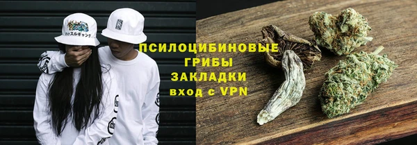 мдпв Инсар