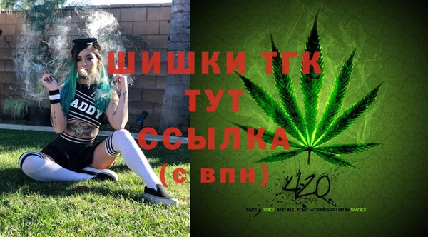 мдпв Иннополис