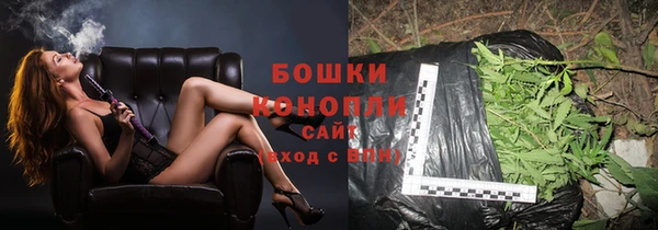 мдпв Инсар